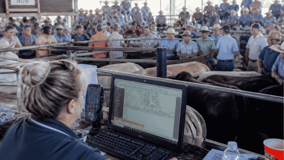 Auction Clerking Software