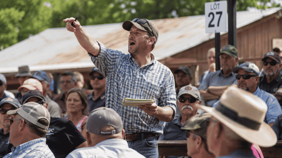ringman, auction ringman, bid caller, online ringman auction 