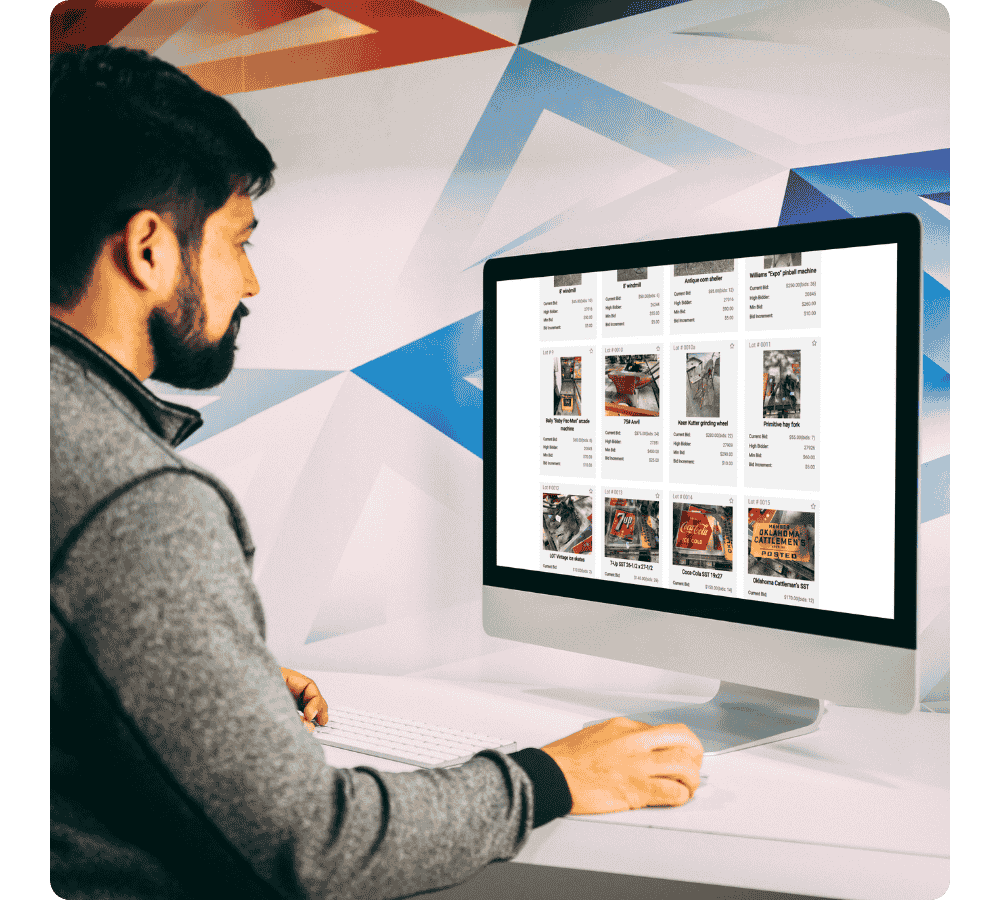 auctioneer classes online