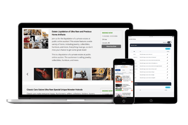 online auction platform