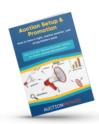 Auction Setup & Promotion ebook cover