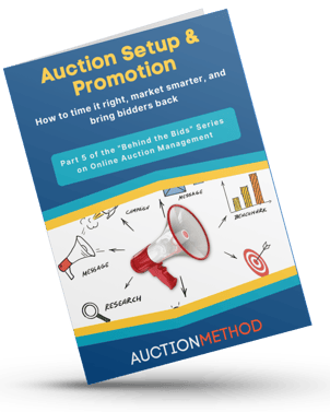 Auction Setup & Promotion ebook cover